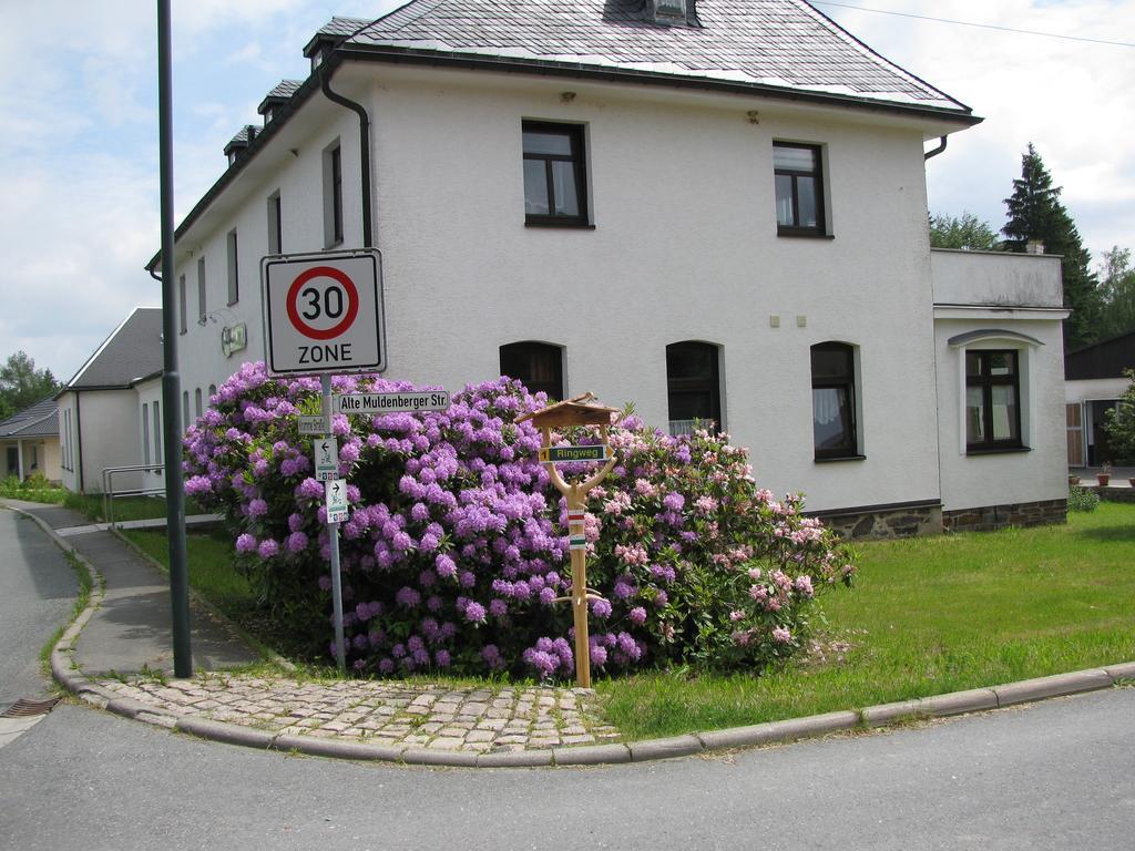 Reiterhof & Pension Lienemann Grünbach المظهر الخارجي الصورة
